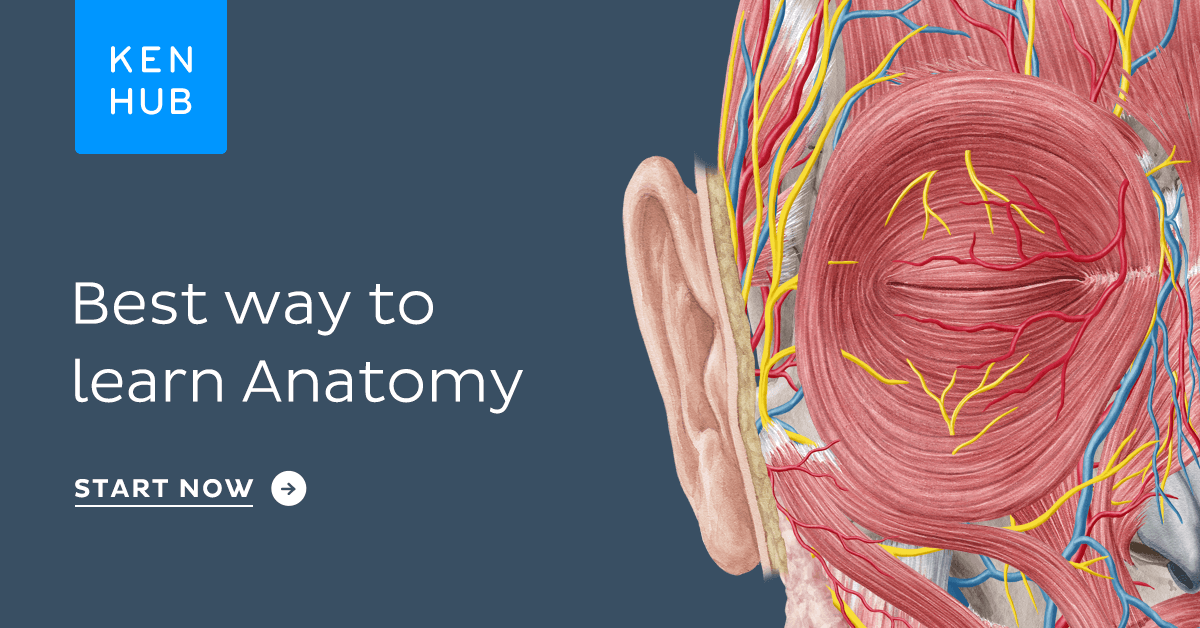 masters anatomy and physiology online